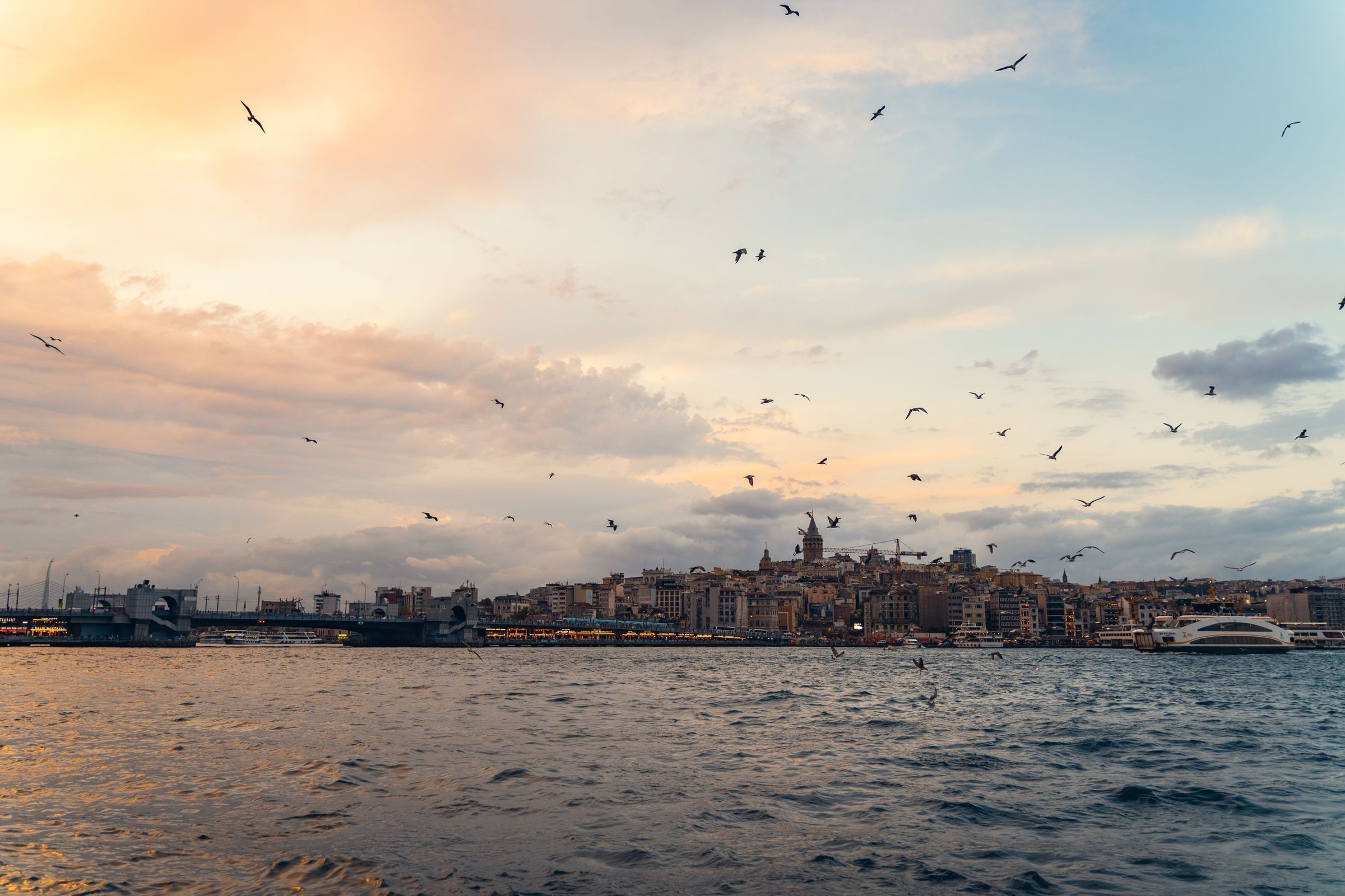 Cakrawala Istanbul dilihat dari air saat senja, Menara Galata di kejauhan dan kawanan camar di atas Golden Horn