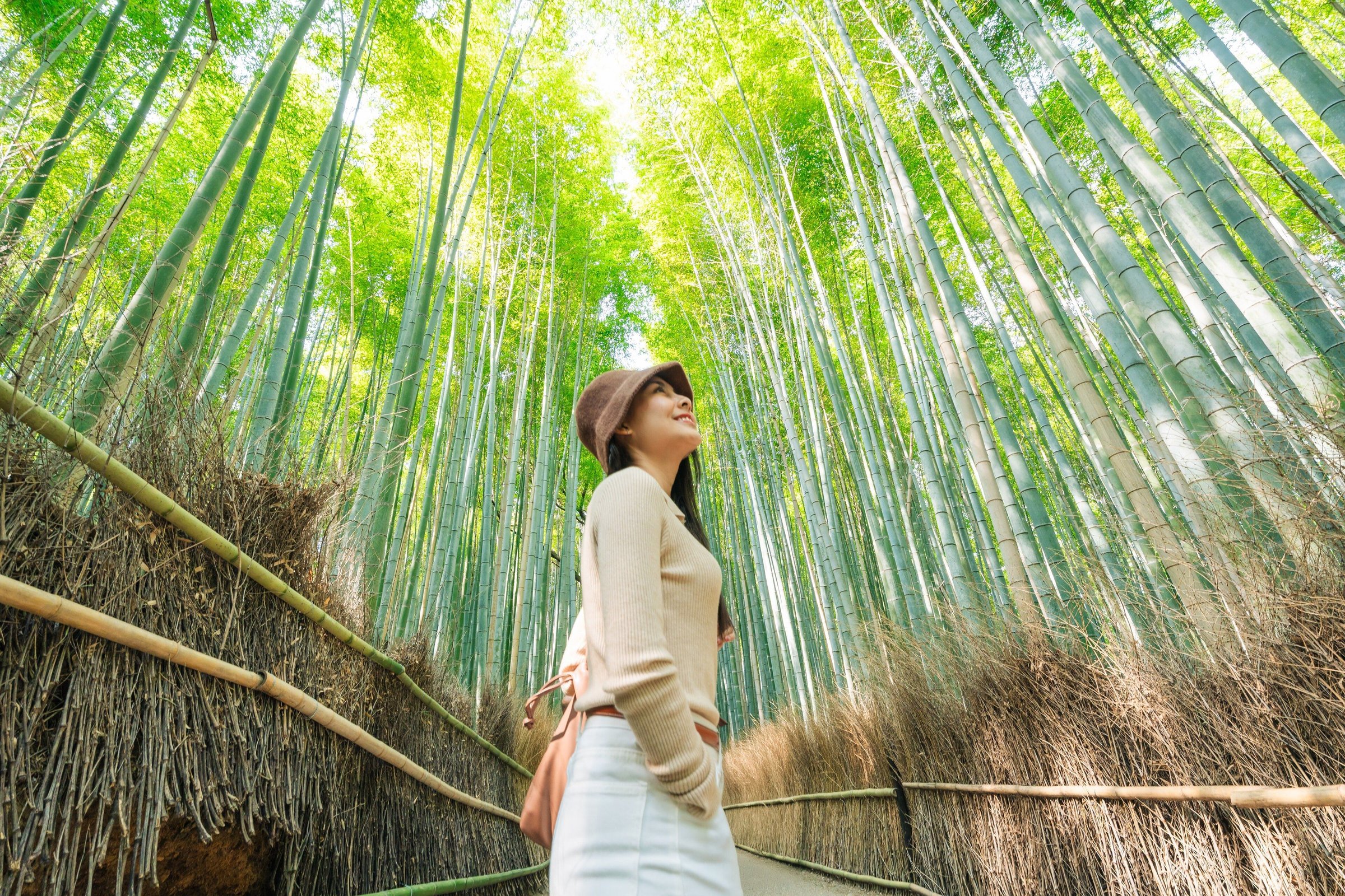 Perempuan menengadah di hutan bambu Arashiyama yang hijau, Kyoto