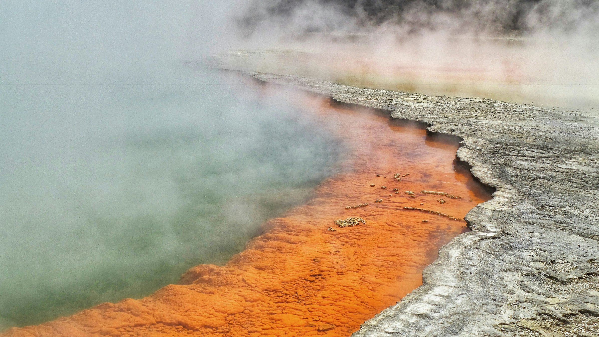 Rotorua geothermal pools and steam