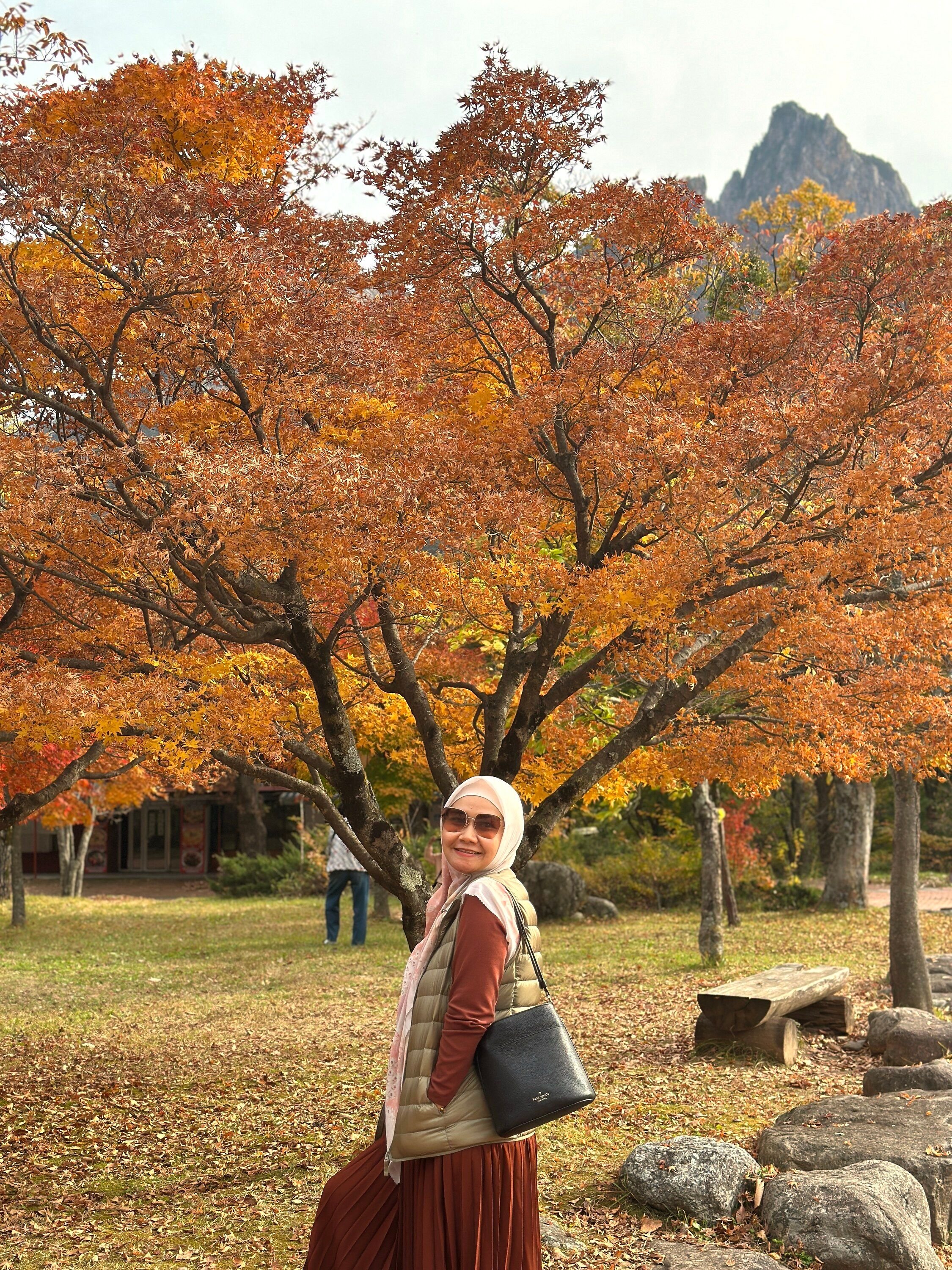 Tour Korea Autumn: Maple & pegunungan autumn
