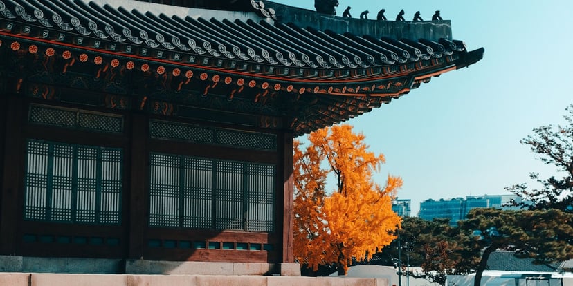 Perempuan berhanbok putih berjalan di halaman istana dengan pohon ginkgo kuning musim gugur, Seoul
