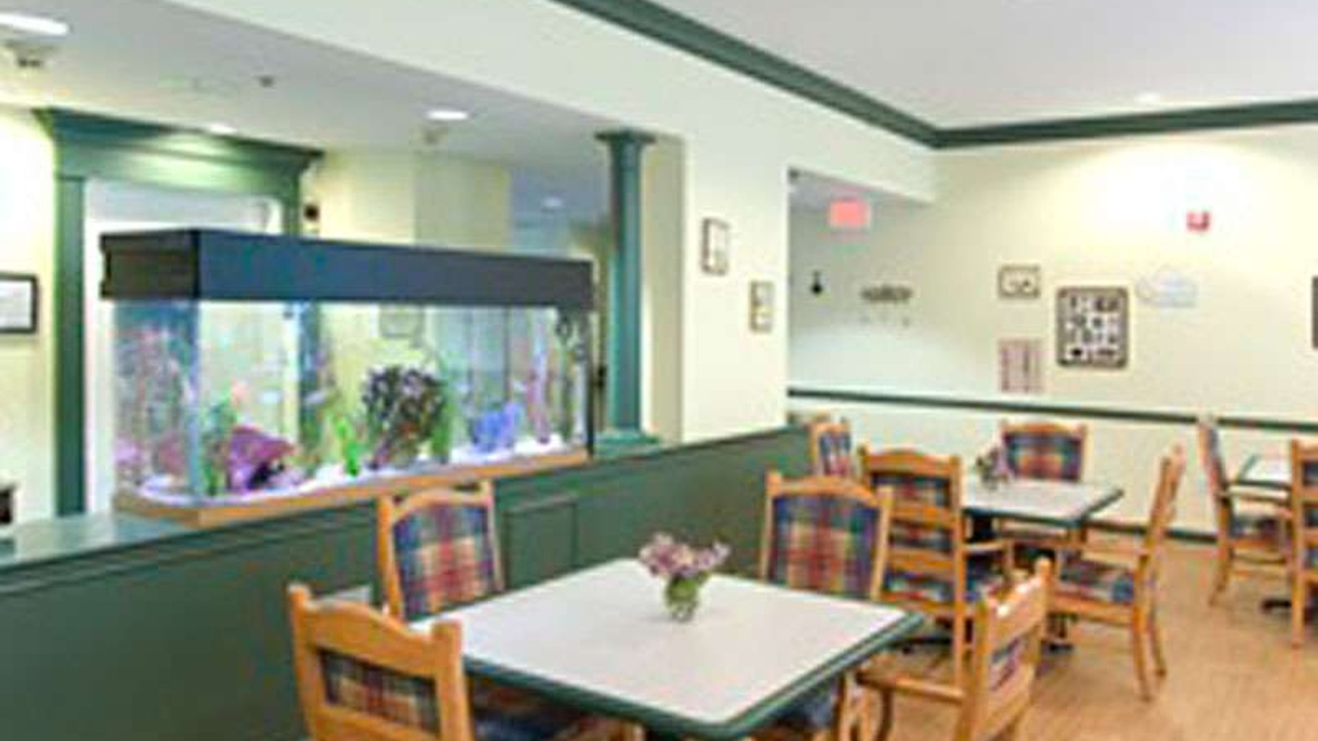 System.Collections.Generic.List`1[AFS.Common.Models.Photo] - Image 6