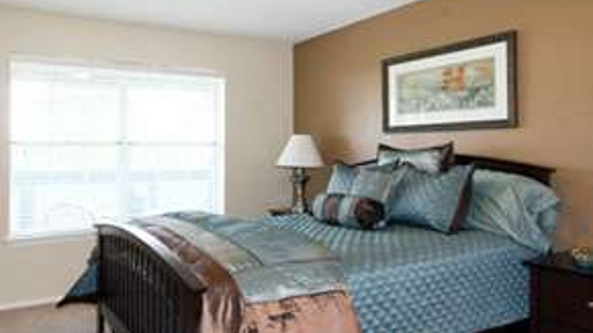 System.Collections.Generic.List`1[AFS.Common.Models.Photo] - Image 3