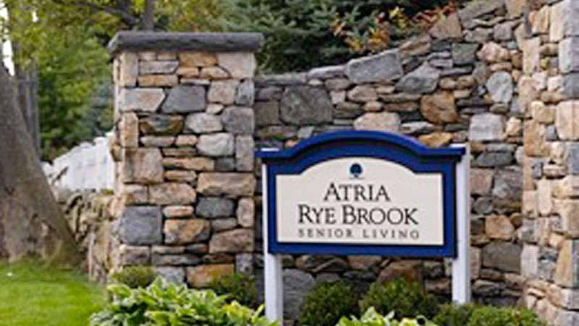 System.Collections.Generic.List`1[AFS.Common.Models.Photo] - Image 2