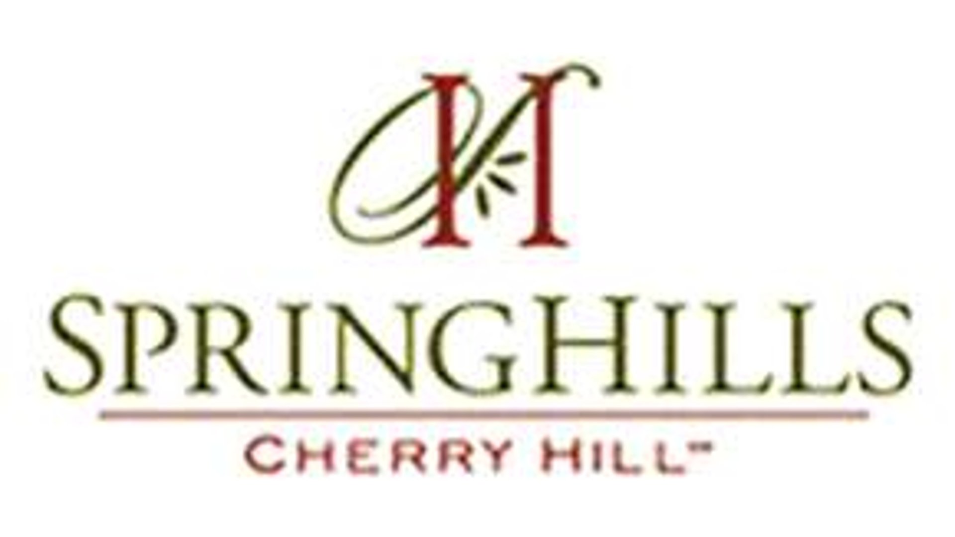 System.Collections.Generic.List`1[AFS.Common.Models.Photo] - Image 1