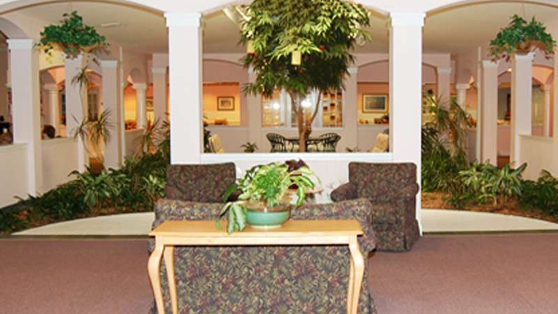 System.Collections.Generic.List`1[AFS.Common.Models.Photo] - Image 4