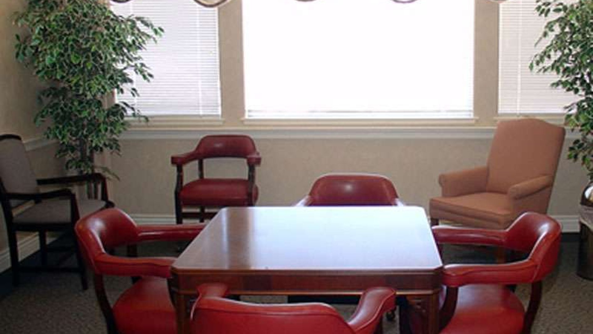 System.Collections.Generic.List`1[AFS.Common.Models.Photo] - Image 4