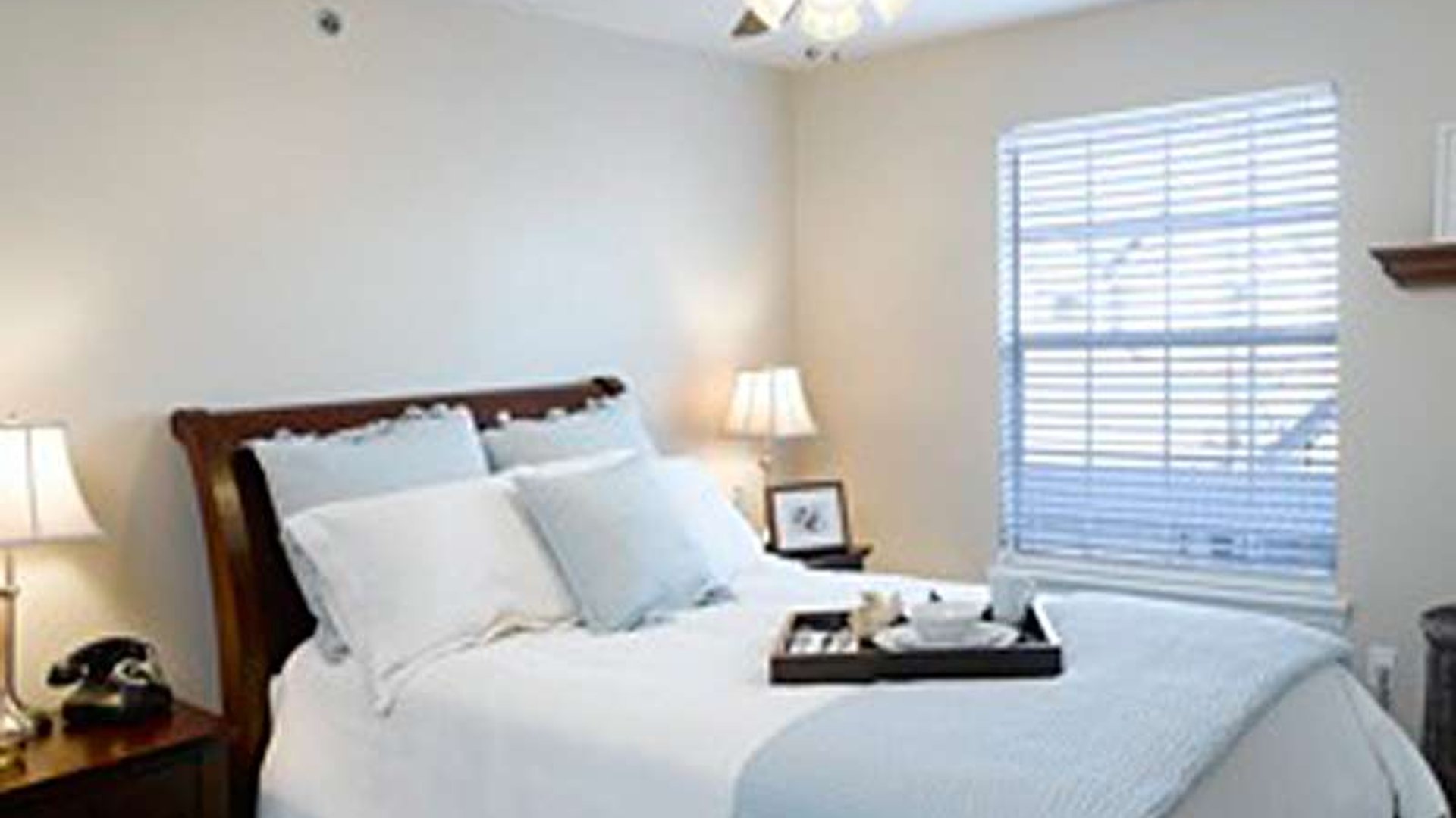 System.Collections.Generic.List`1[AFS.Common.Models.Photo] - Image 4