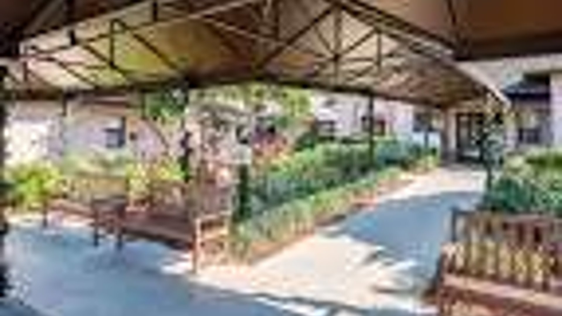 System.Collections.Generic.List`1[AFS.Common.Models.Photo] - Image 1