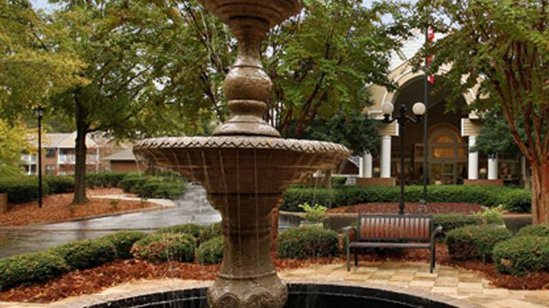 System.Collections.Generic.List`1[AFS.Common.Models.Photo] - Image 2