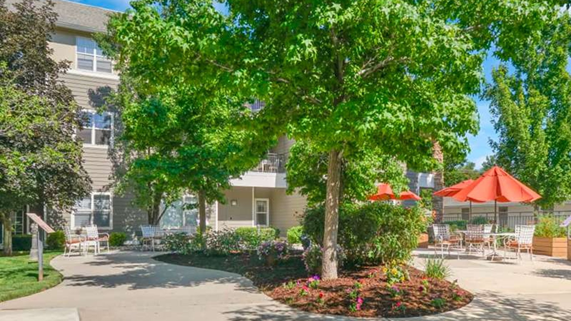 System.Collections.Generic.List`1[AFS.Common.Models.Photo] - Image 1