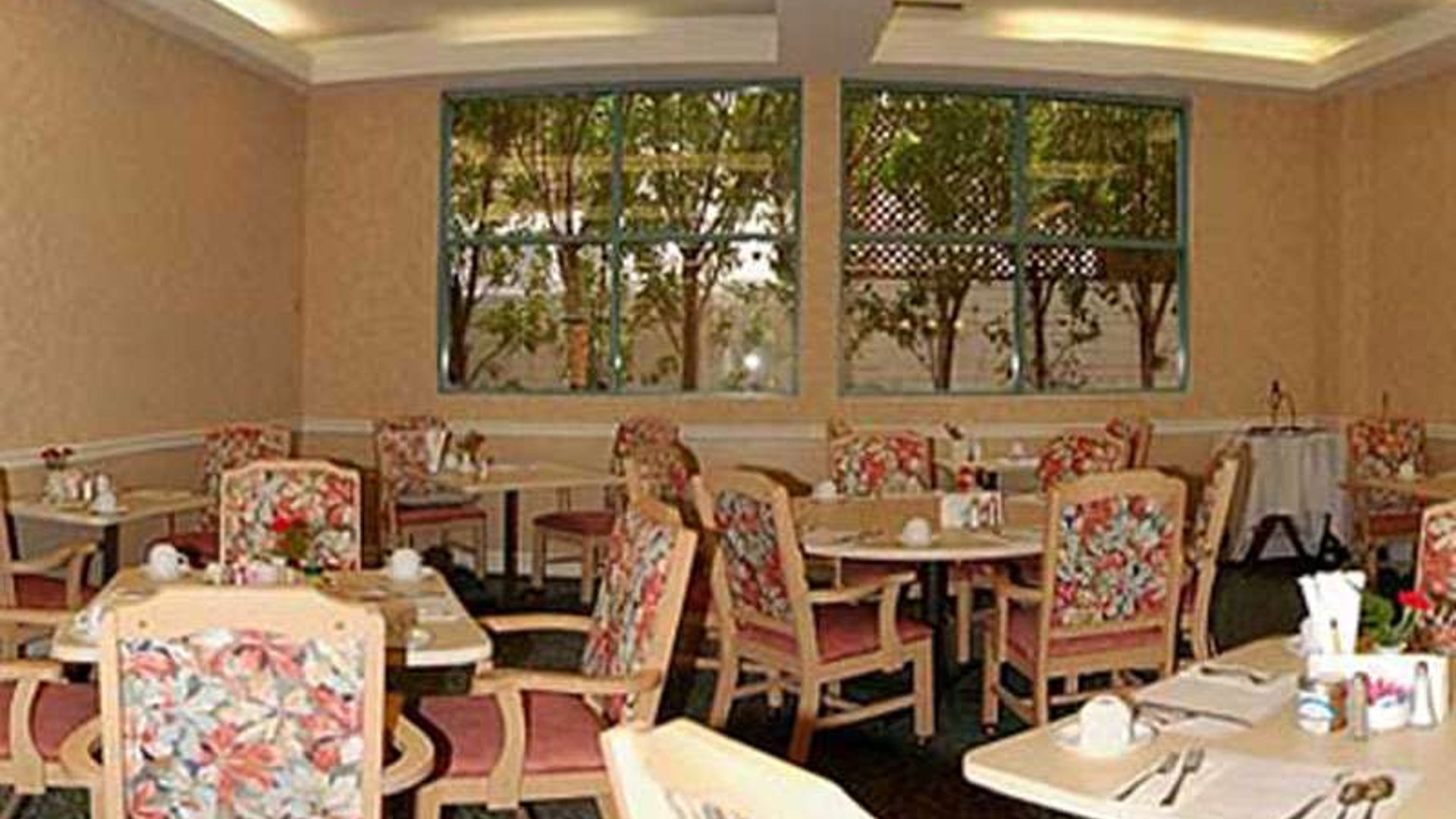 System.Collections.Generic.List`1[AFS.Common.Models.Photo] - Image 4