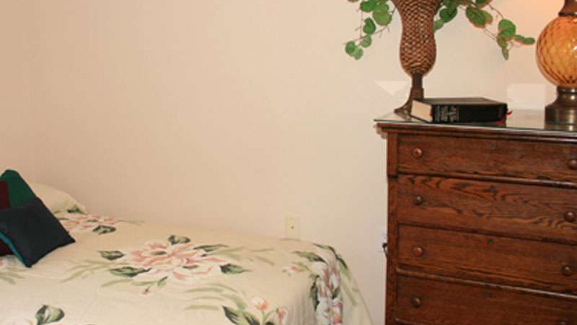 System.Collections.Generic.List`1[AFS.Common.Models.Photo] - Image 4