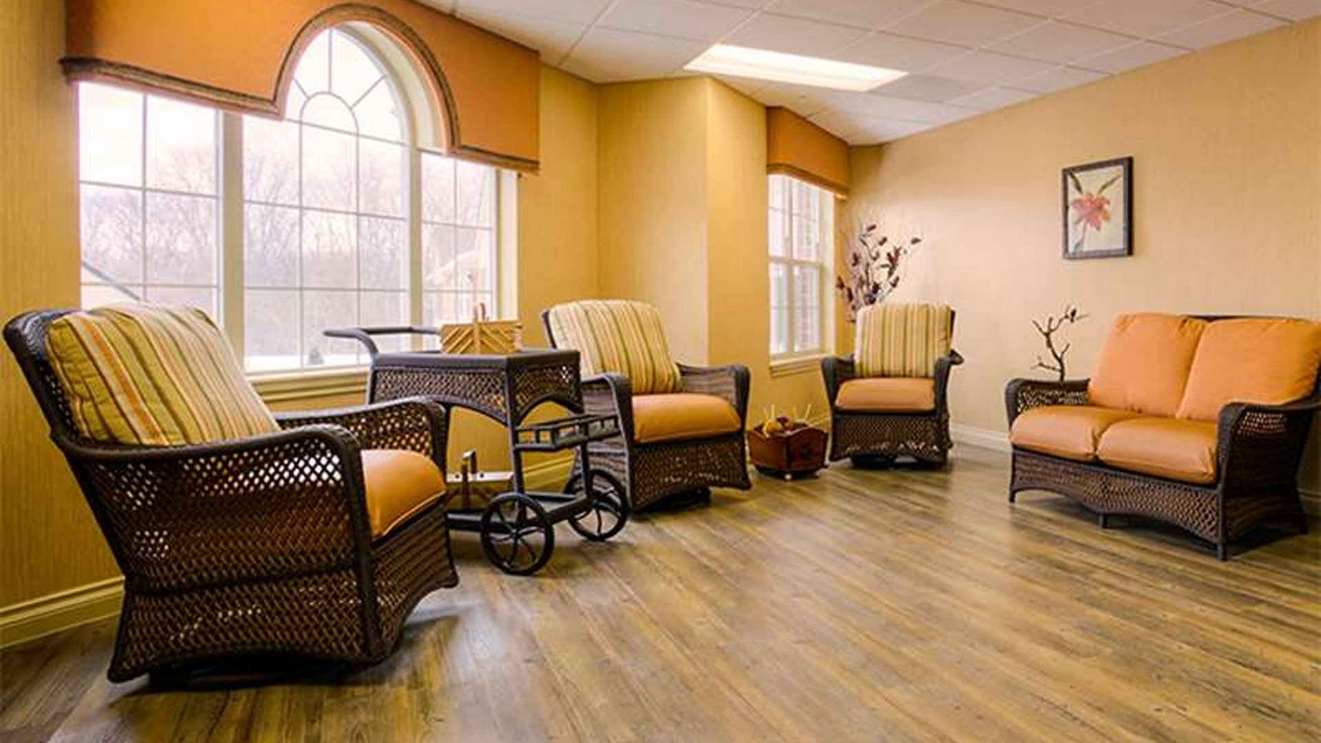 System.Collections.Generic.List`1[AFS.Common.Models.Photo] - Image 3