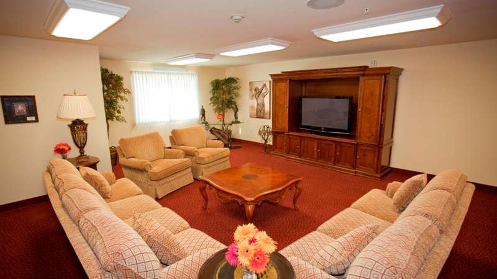 System.Collections.Generic.List`1[AFS.Common.Models.Photo] - Image 4