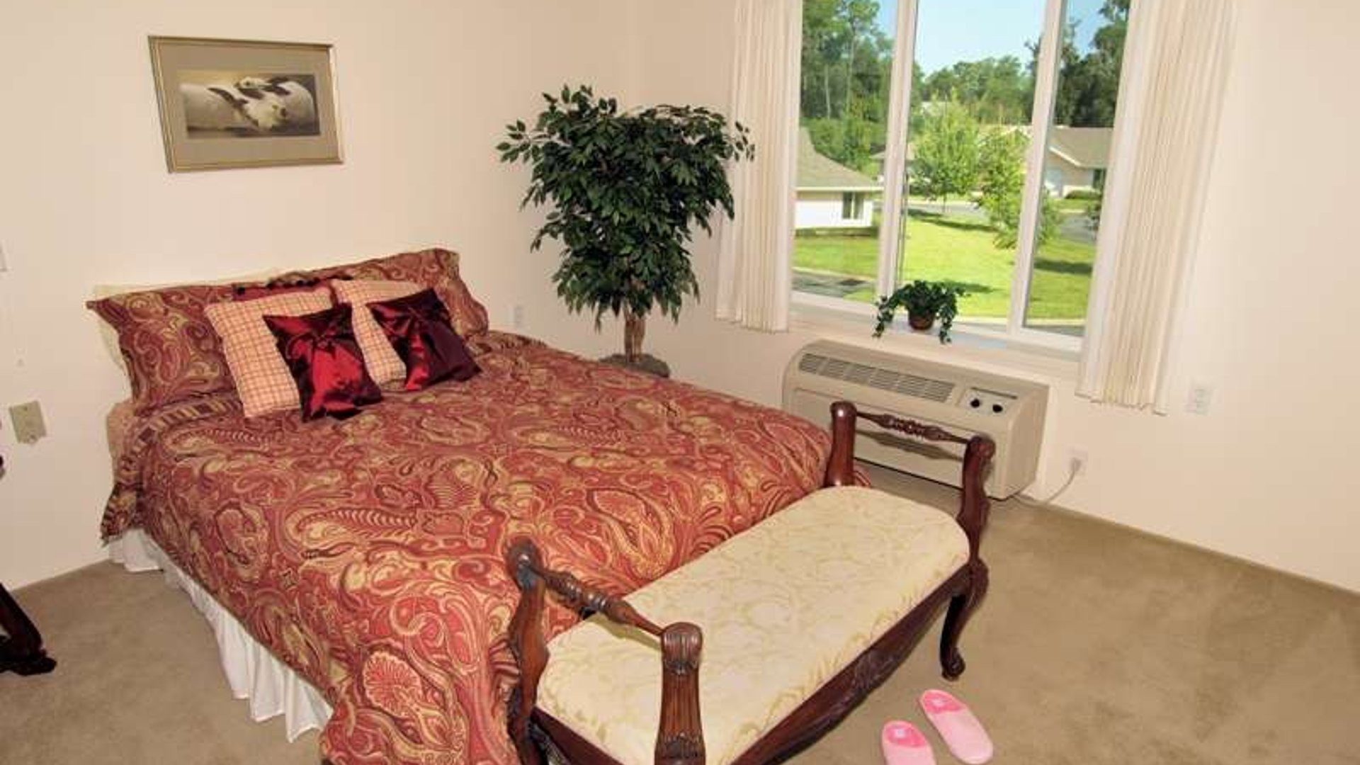 System.Collections.Generic.List`1[AFS.Common.Models.Photo] - Image 5