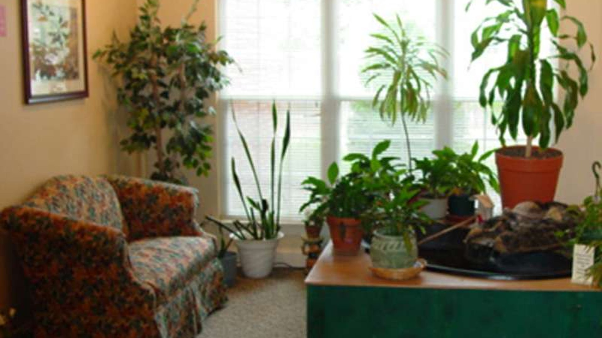 System.Collections.Generic.List`1[AFS.Common.Models.Photo] - Image 4