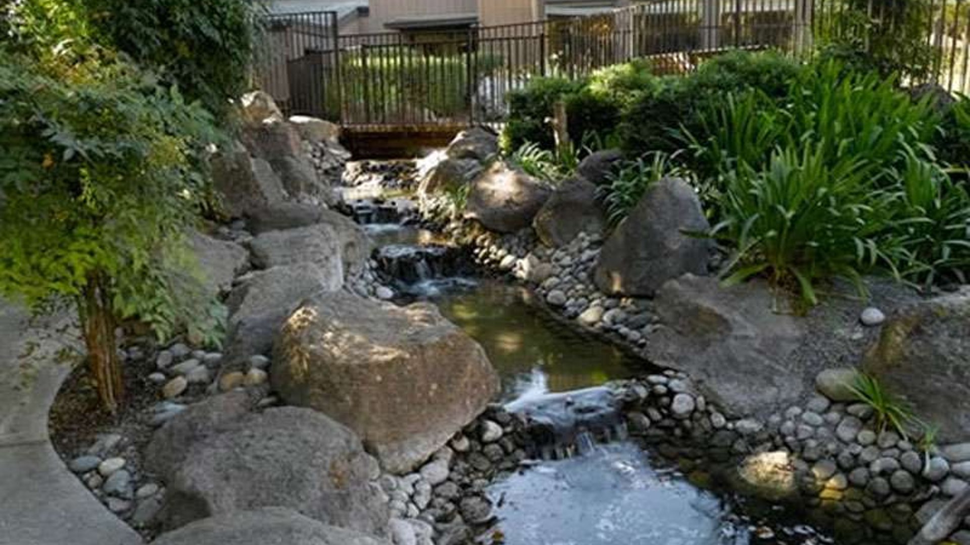 System.Collections.Generic.List`1[AFS.Common.Models.Photo] - Image 6