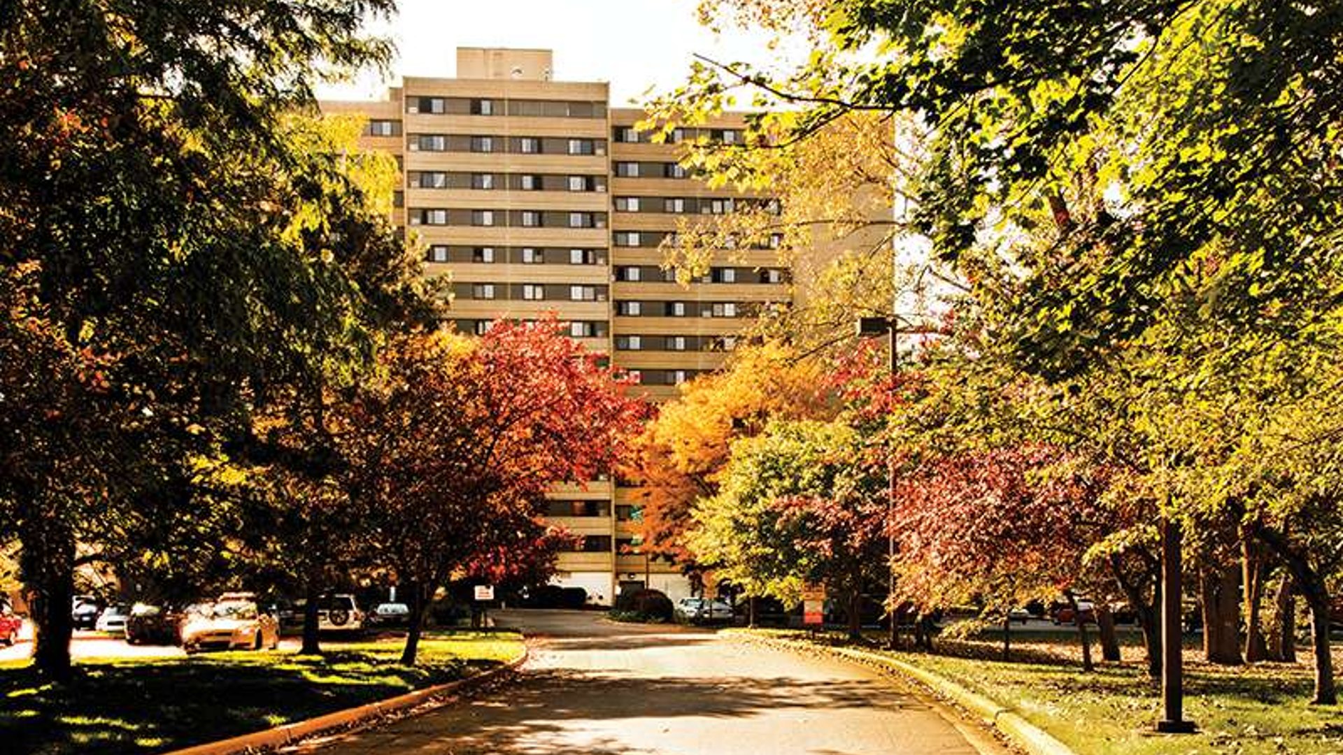 System.Collections.Generic.List`1[AFS.Common.Models.Photo] - Image 1