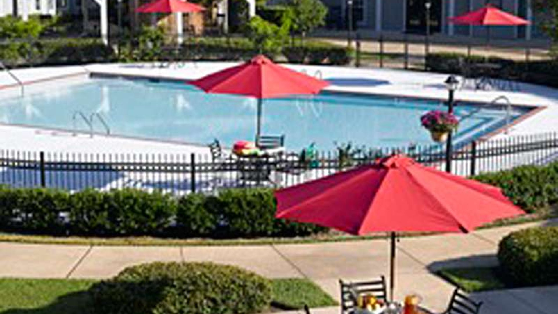 System.Collections.Generic.List`1[AFS.Common.Models.Photo] - Image 6