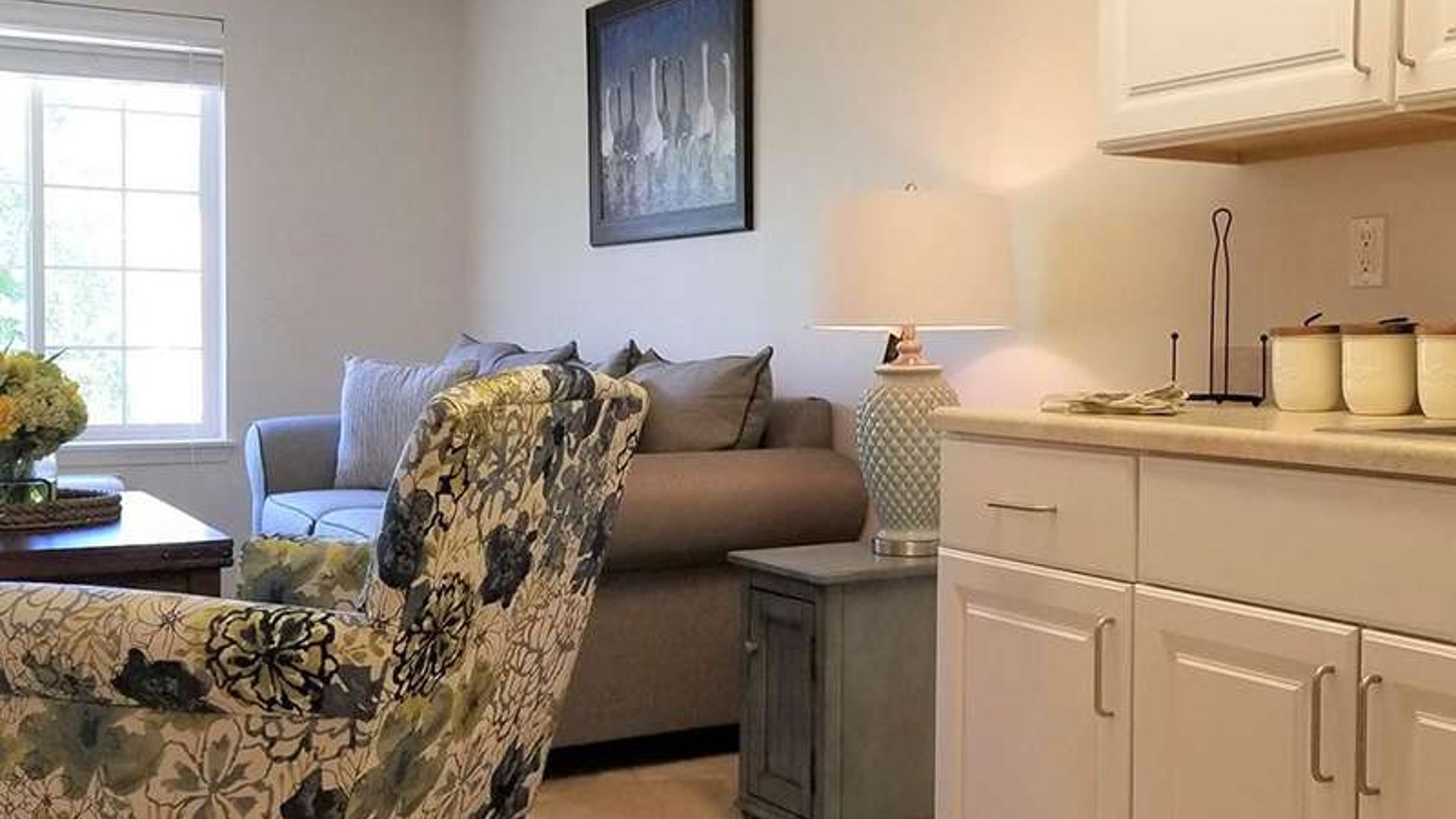 System.Collections.Generic.List`1[AFS.Common.Models.Photo] - Image 3