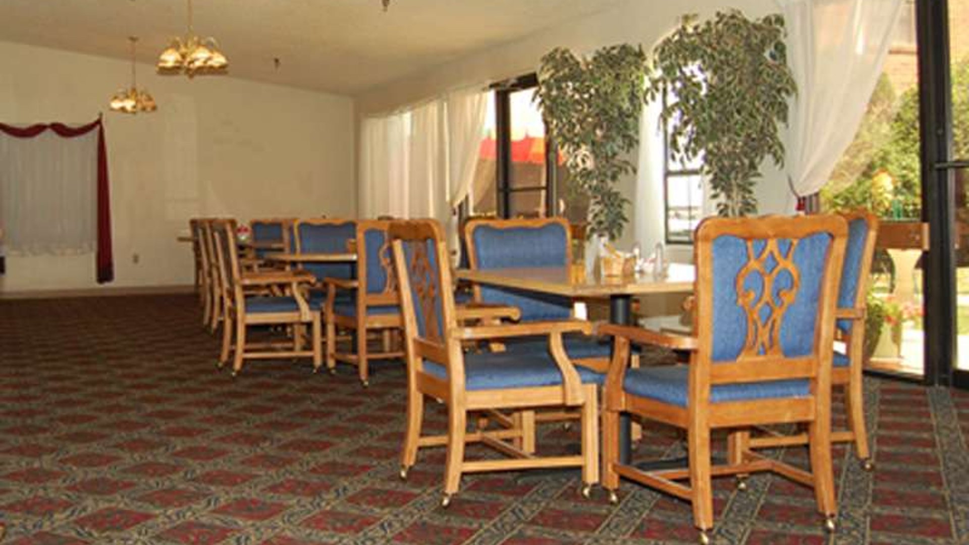 System.Collections.Generic.List`1[AFS.Common.Models.Photo] - Image 2