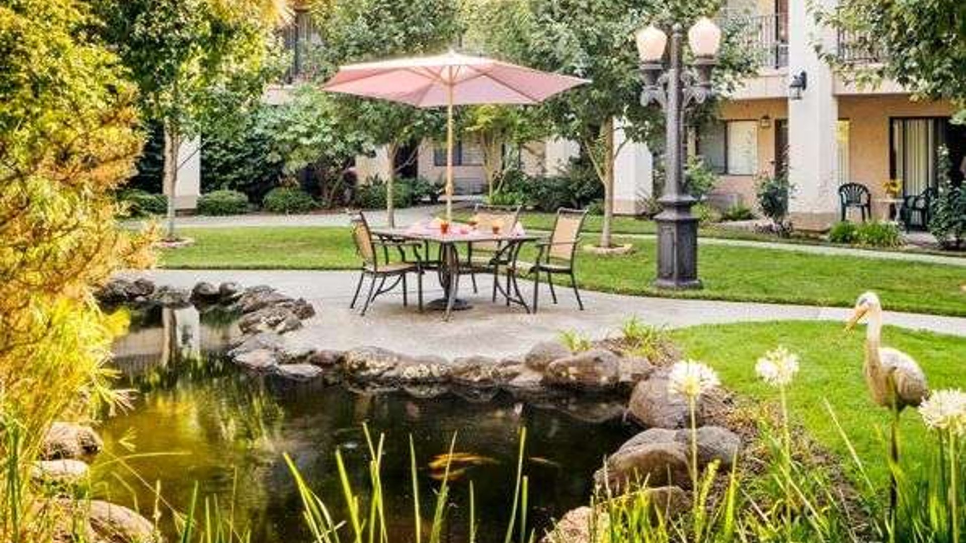 System.Collections.Generic.List`1[AFS.Common.Models.Photo] - Image 6