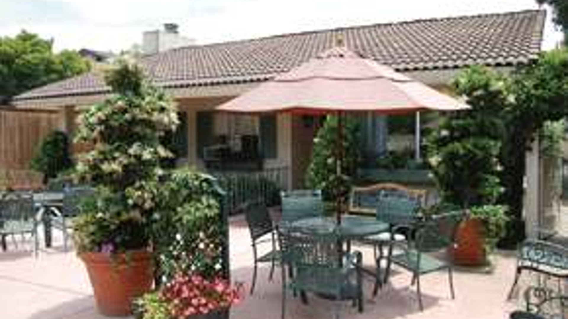 System.Collections.Generic.List`1[AFS.Common.Models.Photo] - Image 1