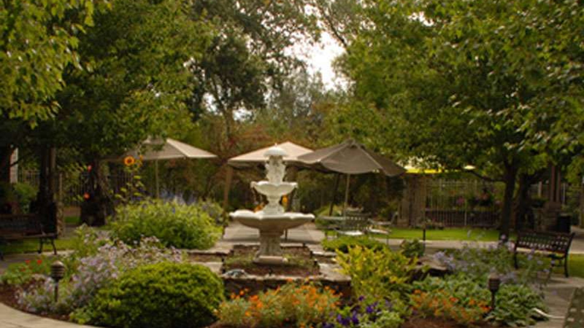 System.Collections.Generic.List`1[AFS.Common.Models.Photo] - Image 2