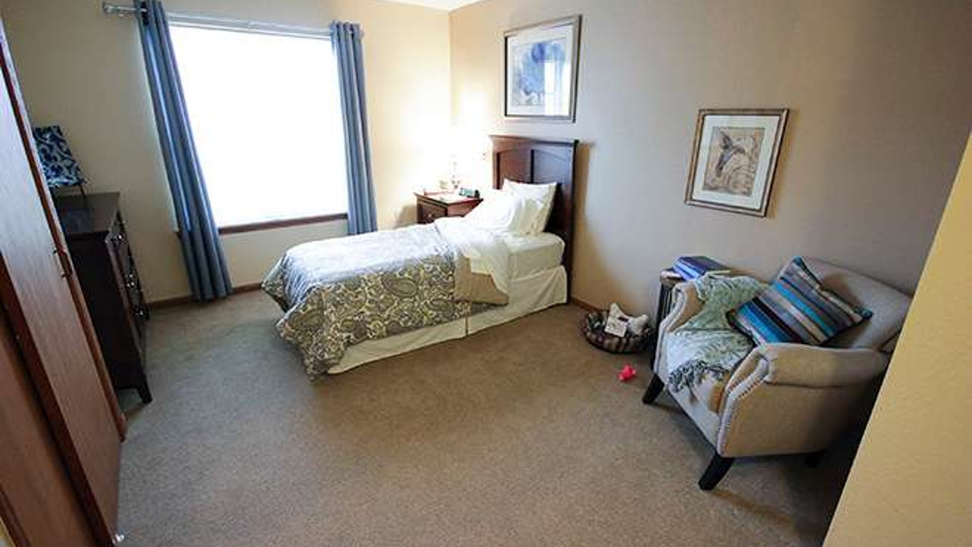 System.Collections.Generic.List`1[AFS.Common.Models.Photo] - Image 6