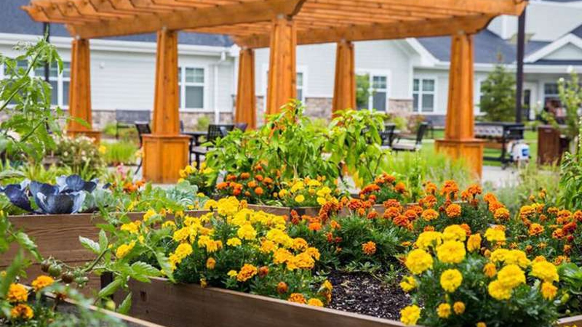 System.Collections.Generic.List`1[AFS.Common.Models.Photo] - Image 2