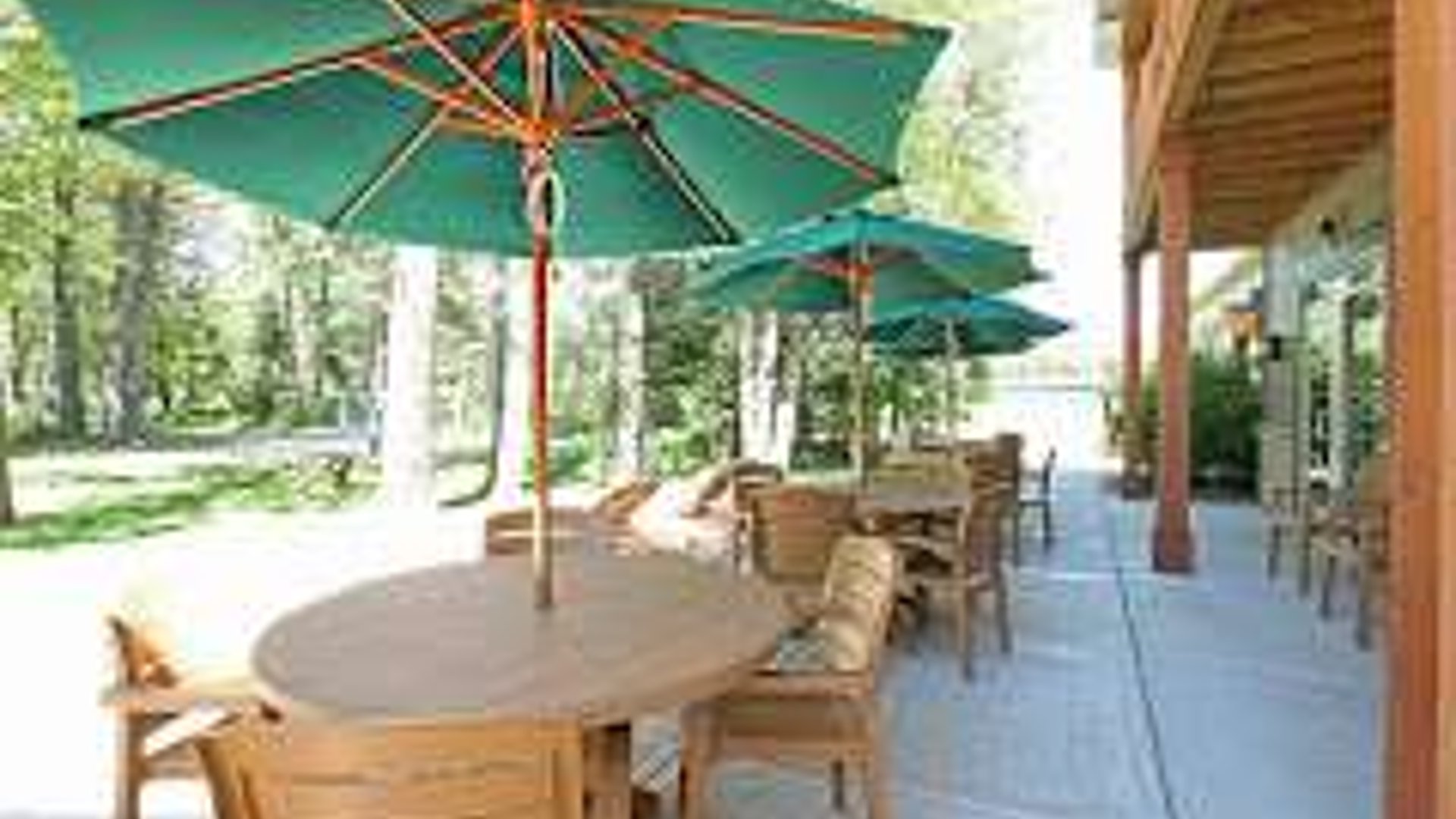 System.Collections.Generic.List`1[AFS.Common.Models.Photo] - Image 1