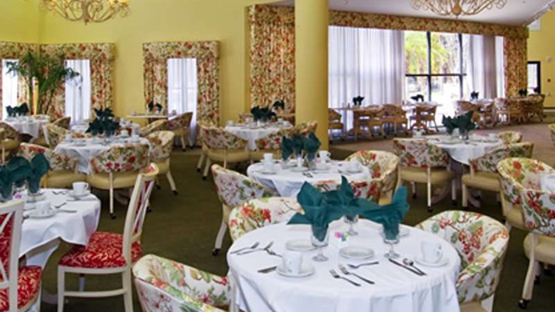 System.Collections.Generic.List`1[AFS.Common.Models.Photo] - Image 3