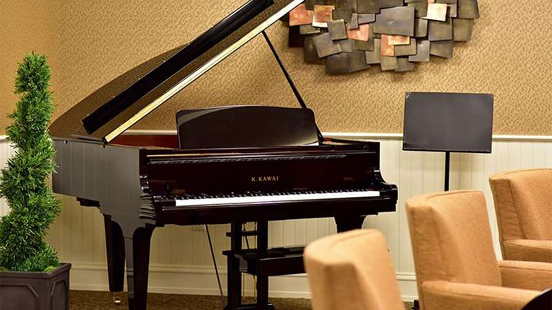 System.Collections.Generic.List`1[AFS.Common.Models.Photo] - Image 5