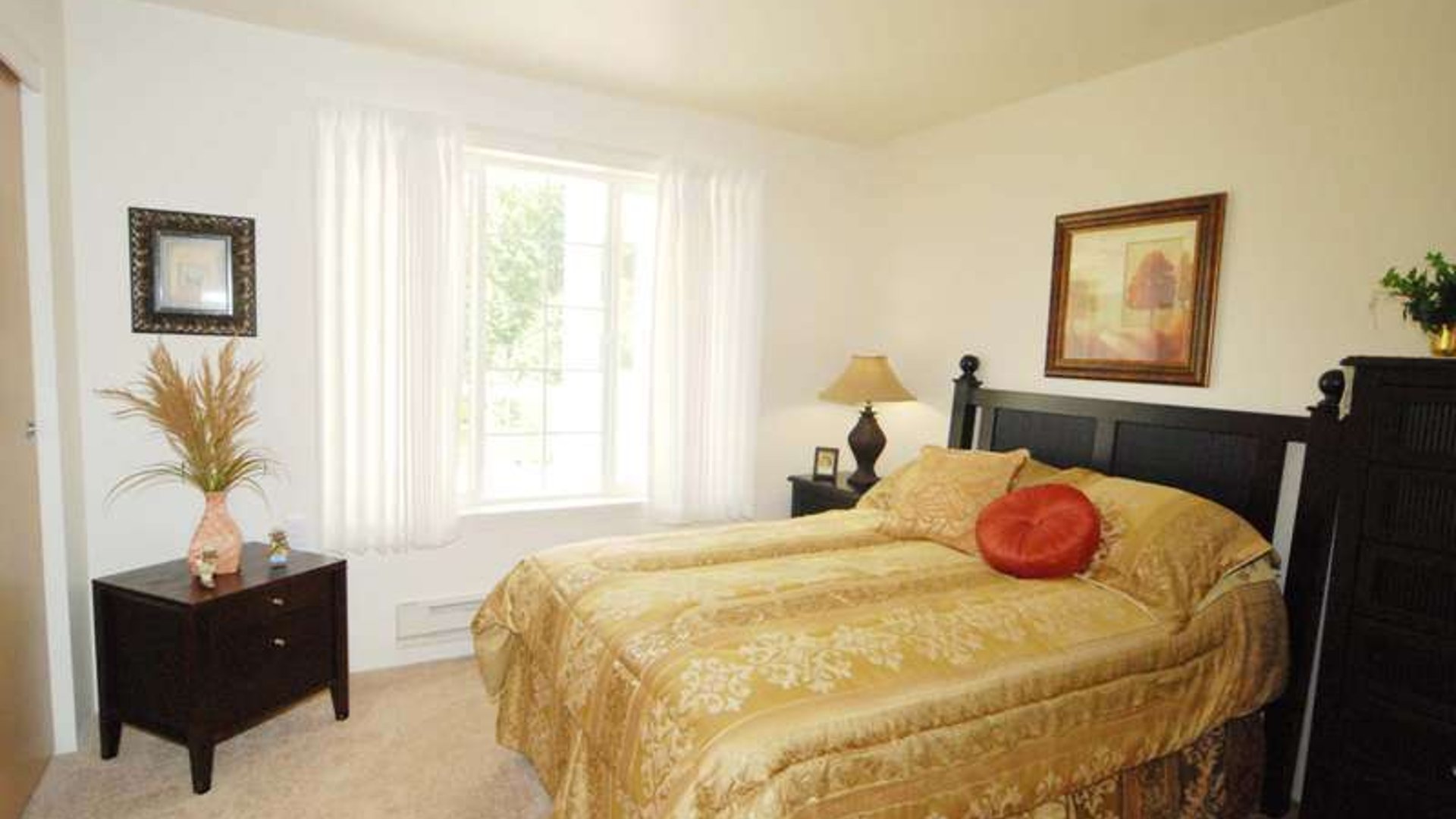 System.Collections.Generic.List`1[AFS.Common.Models.Photo] - Image 5