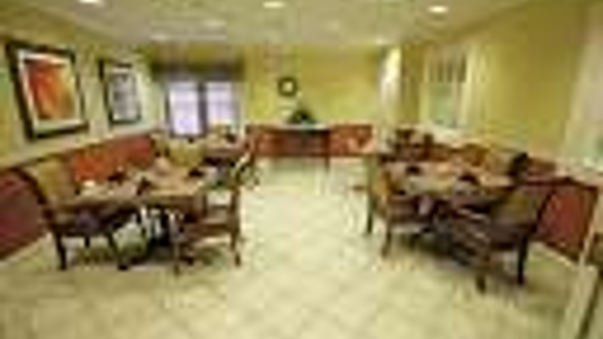 System.Collections.Generic.List`1[AFS.Common.Models.Photo] - Image 2