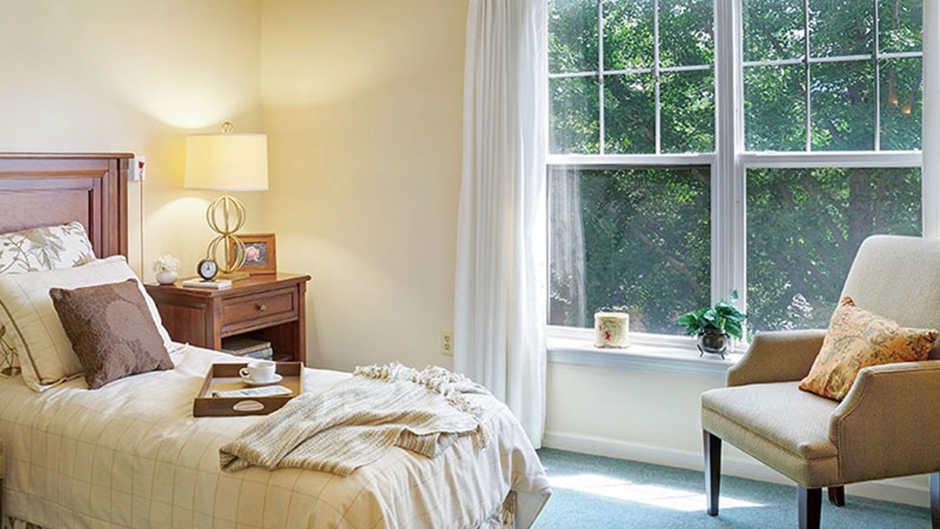 System.Collections.Generic.List`1[AFS.Common.Models.Photo] - Image 4