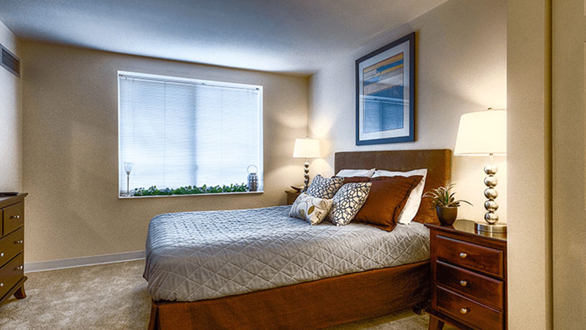 System.Collections.Generic.List`1[AFS.Common.Models.Photo] - Image 5