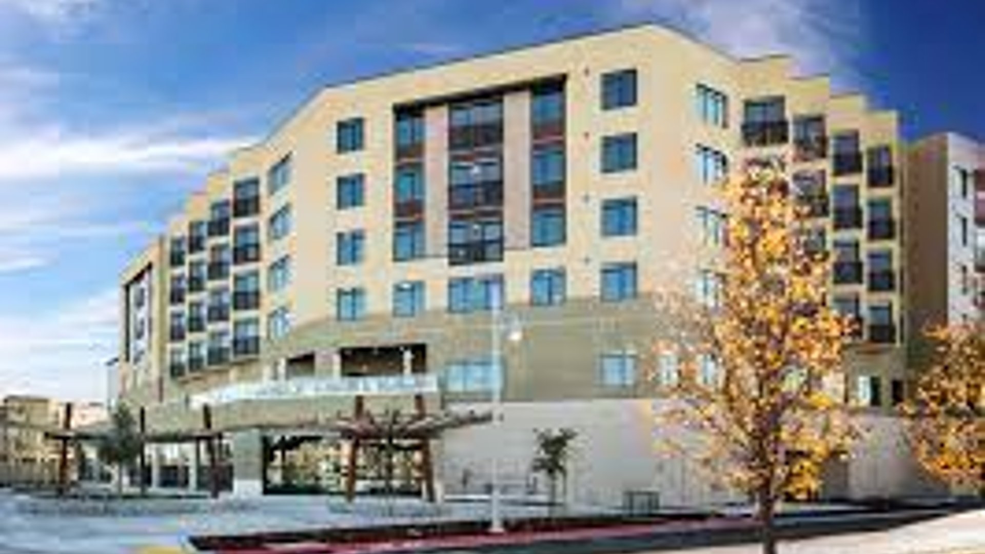 System.Collections.Generic.List`1[AFS.Common.Models.Photo] - Image 2