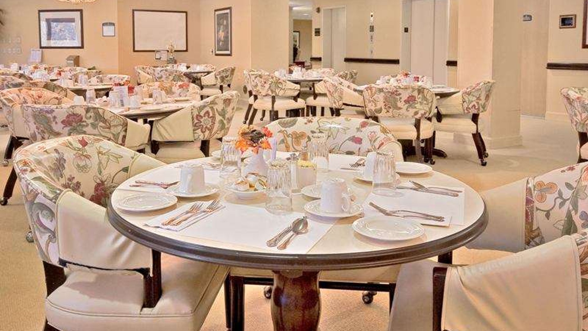 System.Collections.Generic.List`1[AFS.Common.Models.Photo] - Image 2