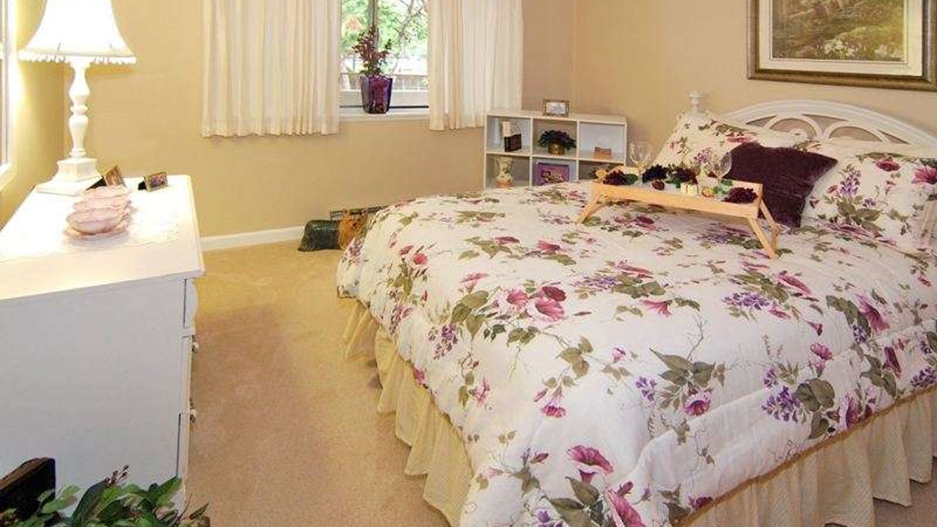 System.Collections.Generic.List`1[AFS.Common.Models.Photo] - Image 5