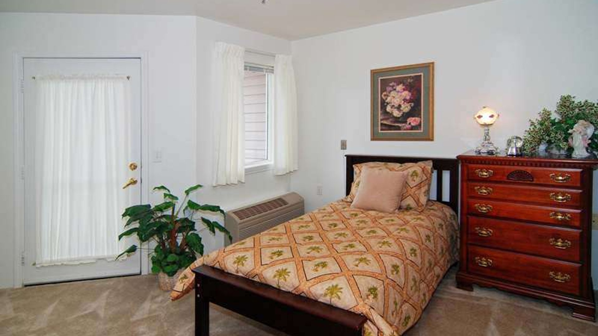 System.Collections.Generic.List`1[AFS.Common.Models.Photo] - Image 5