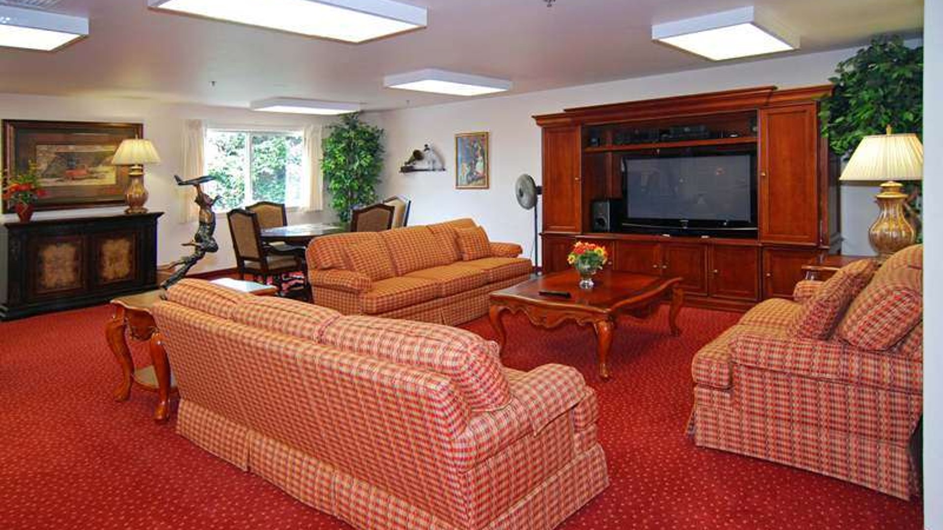 System.Collections.Generic.List`1[AFS.Common.Models.Photo] - Image 4