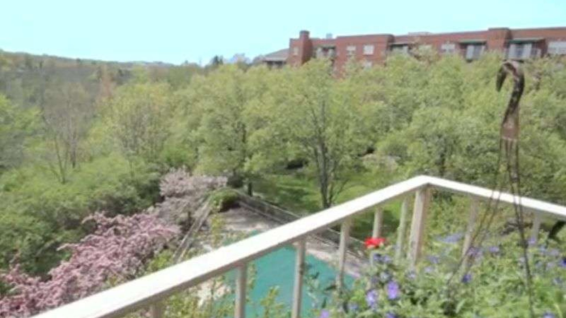 System.Collections.Generic.List`1[AFS.Common.Models.Photo] - Image 2