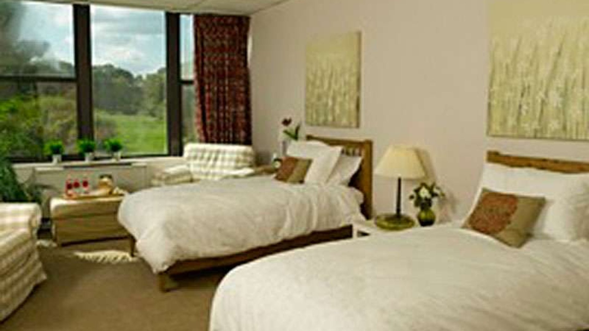 System.Collections.Generic.List`1[AFS.Common.Models.Photo] - Image 4