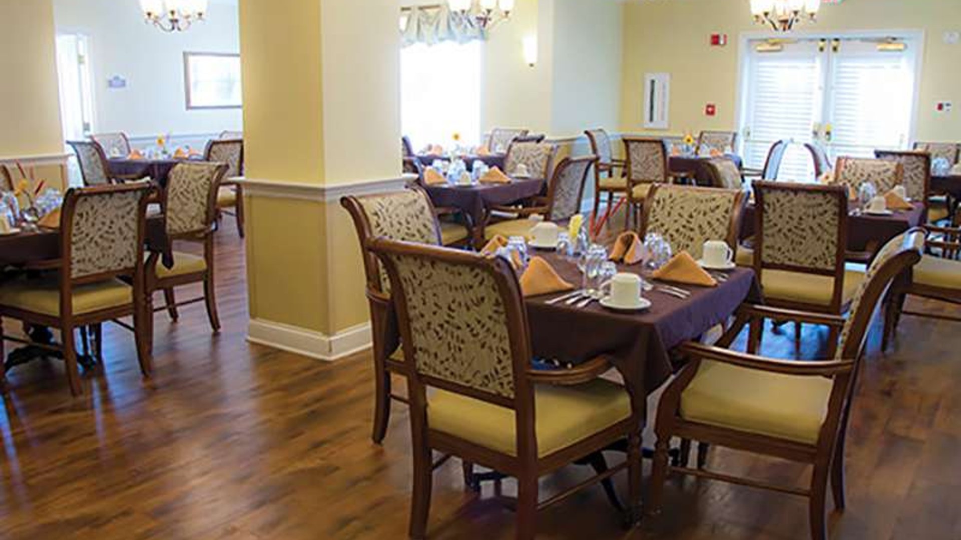 System.Collections.Generic.List`1[AFS.Common.Models.Photo] - Image 3