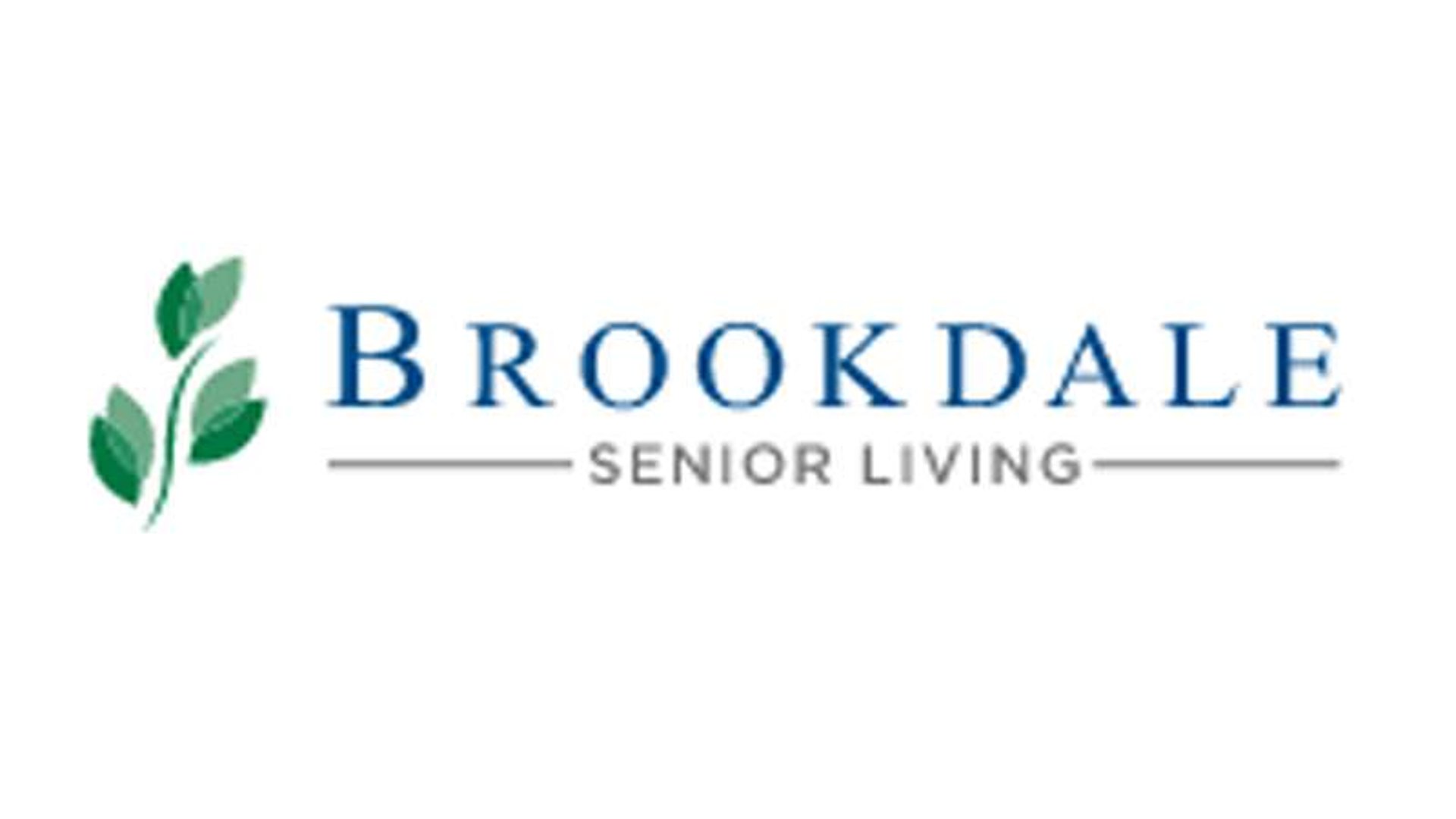 System.Collections.Generic.List`1[AFS.Common.Models.Photo] - Image 6