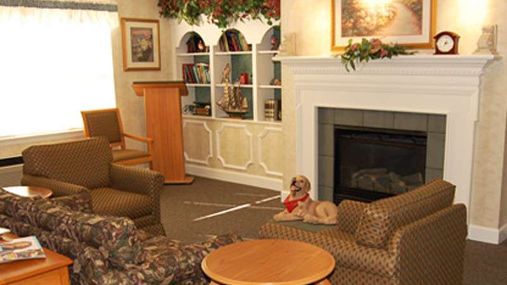 System.Collections.Generic.List`1[AFS.Common.Models.Photo] - Image 3