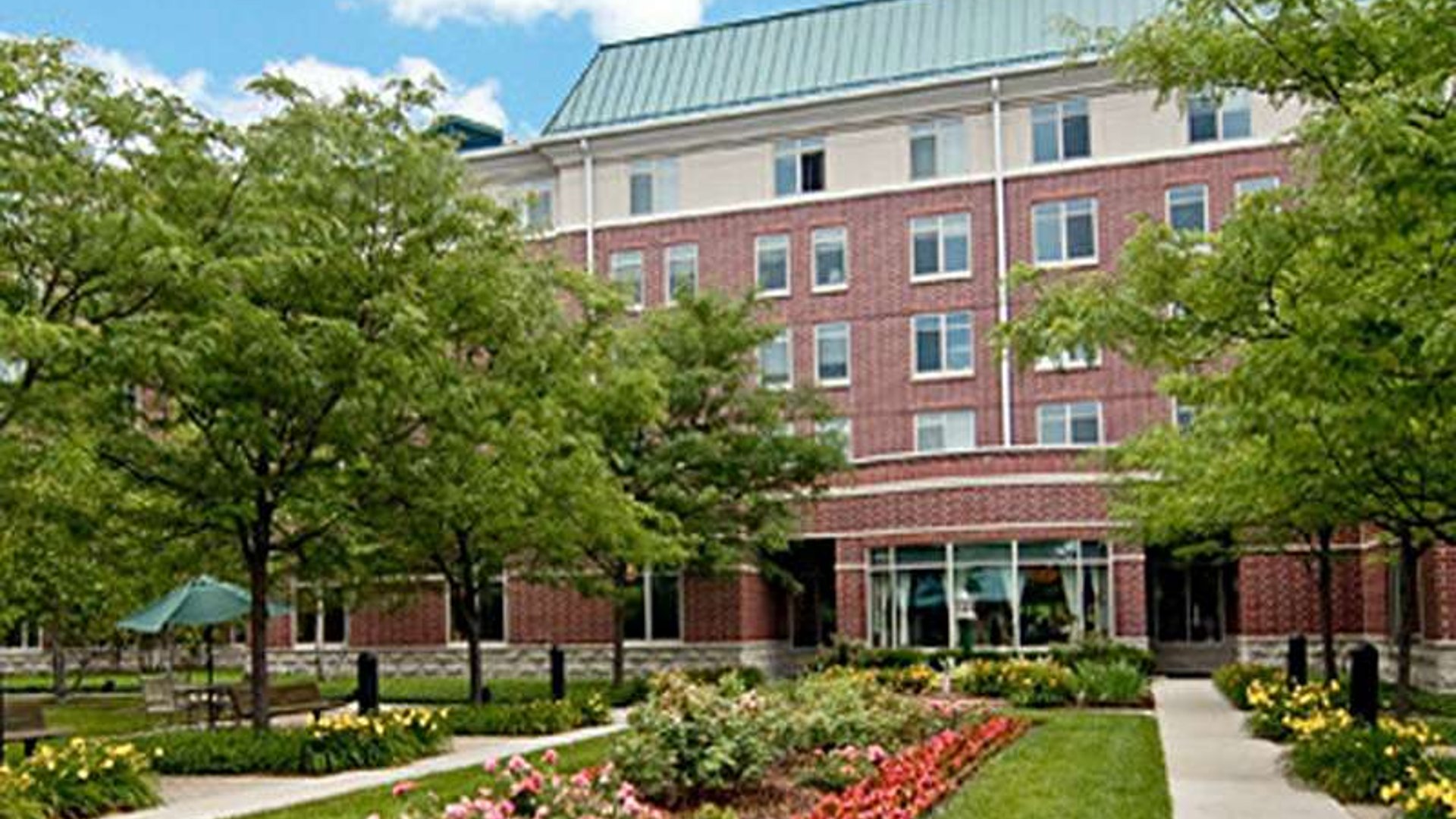 System.Collections.Generic.List`1[AFS.Common.Models.Photo] - Image 2