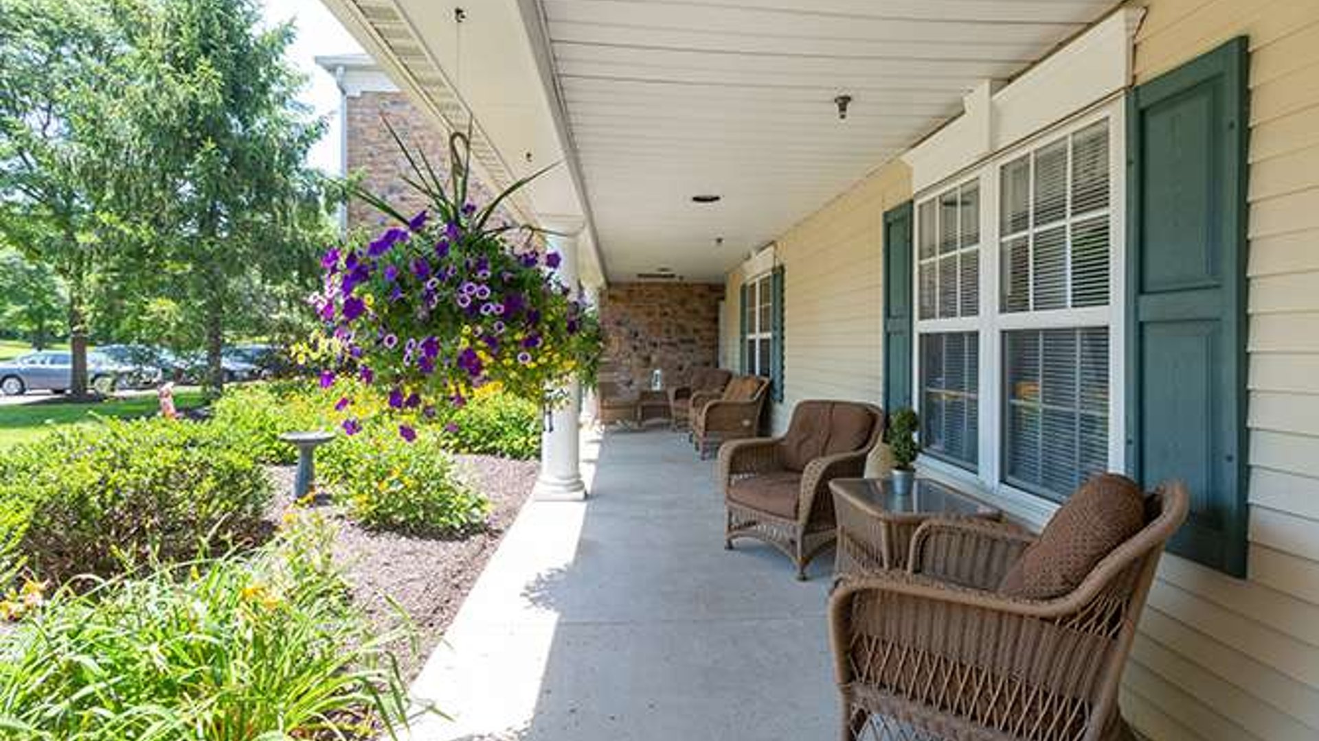 System.Collections.Generic.List`1[AFS.Common.Models.Photo] - Image 3